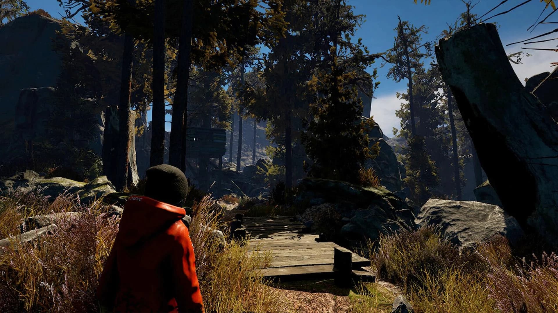 Through the Woods screenshot 4