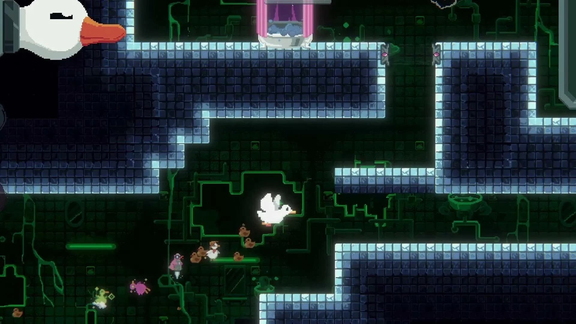 Duck Paradox screenshot 5