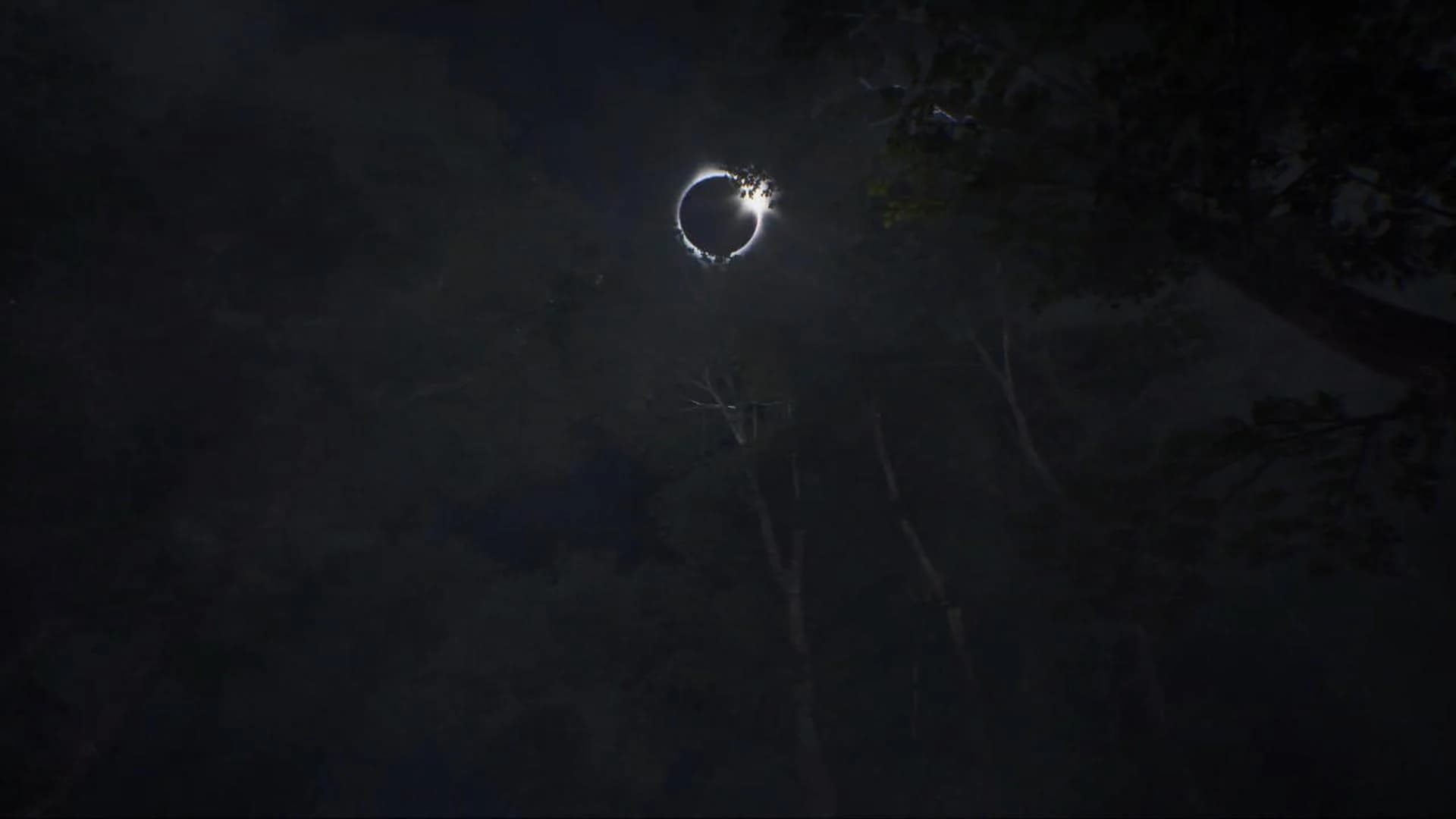 Home Sweet Home (Ep.2) screenshot 4