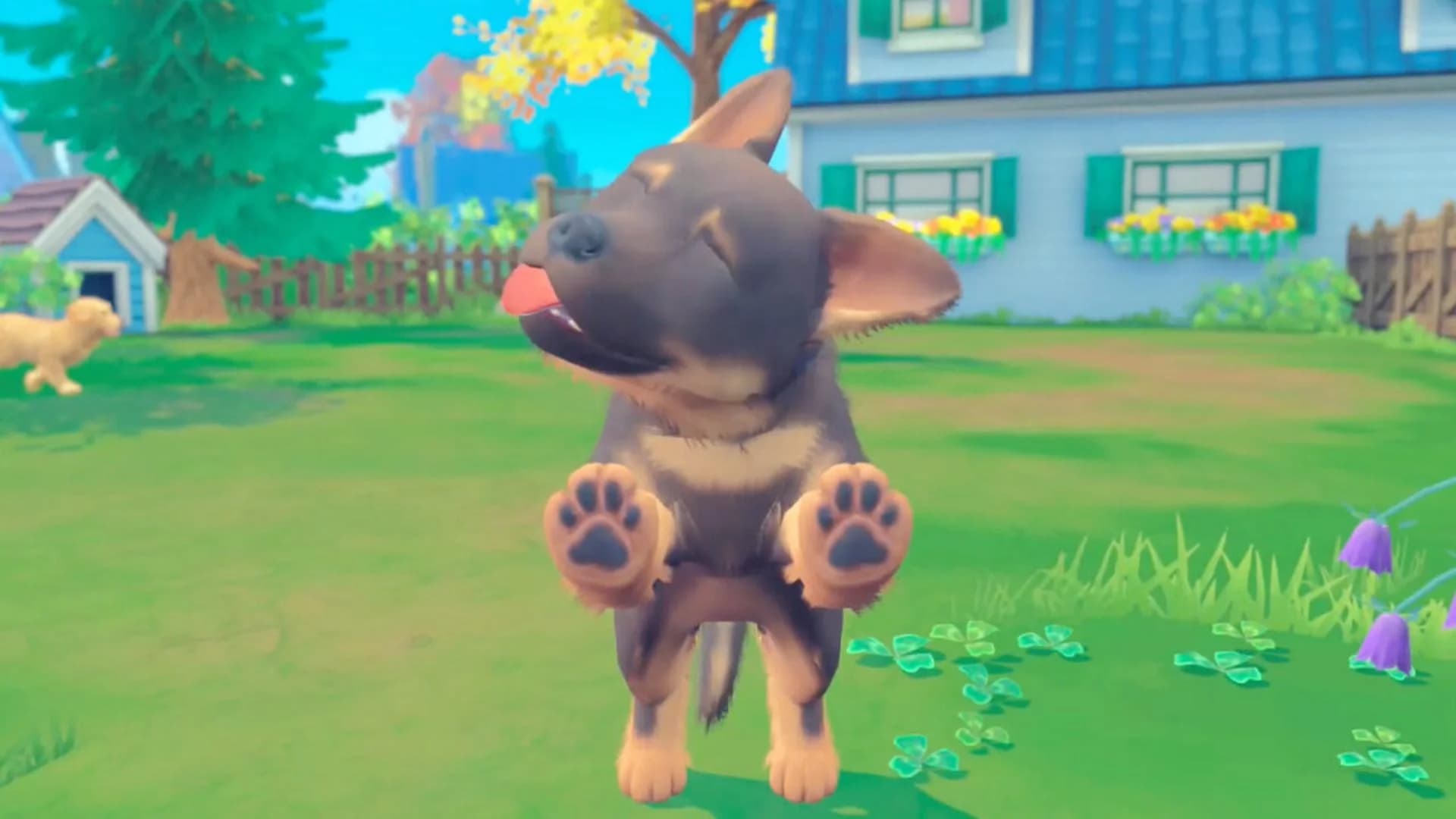 My Universe - Puppies & Kittens screenshot 4